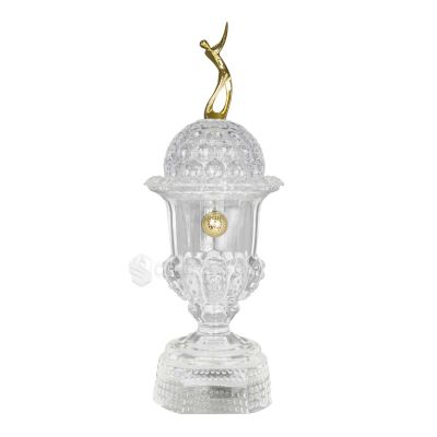 Cúp Nghệ Thuật – 91V520