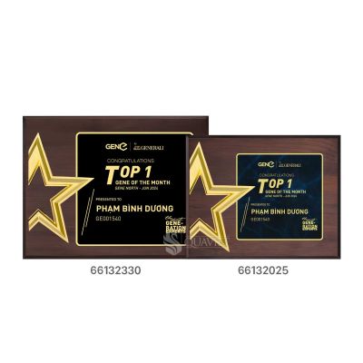 Bảng vinh danh Top 1