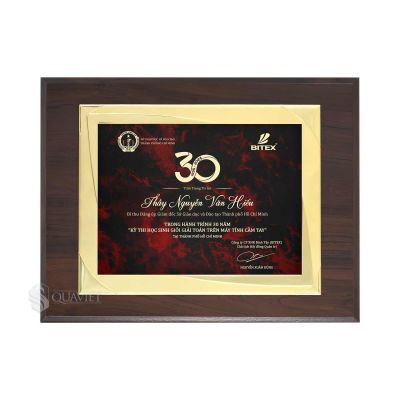 Bảng vinh danh kỳ thi học sinh giỏi